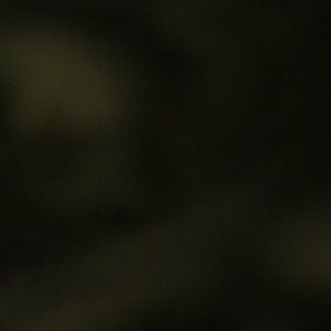 Meet your Posher, Gillian